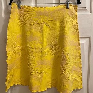 Haystacks Sunflower Skirt